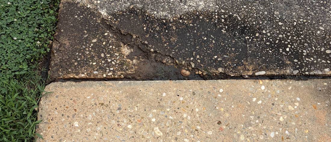 A sidewalk photographed mid-clean. The far half is still dark with algae and ground-in dirt; the near half has been washed back to pale, speckled concrete, with a hard line between them.