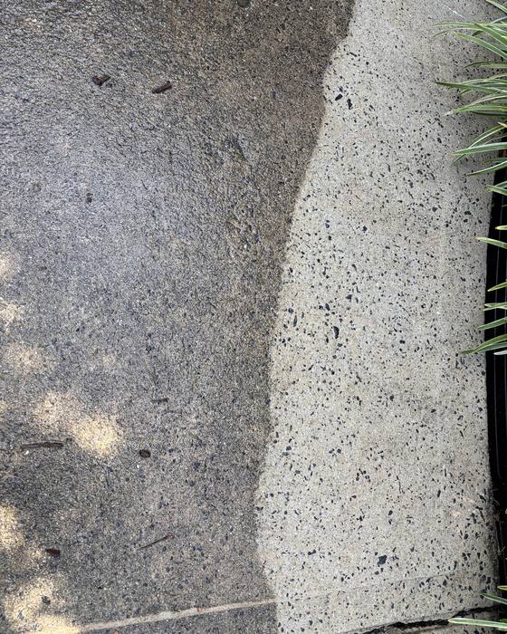 A concrete path halfway through cleaning. The left side is dark and weathered, the right side is pale with the aggregate showing through clearly.